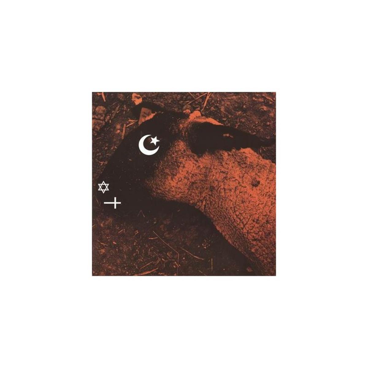 Animositisomina Édition Numérotée Vinyle Orange