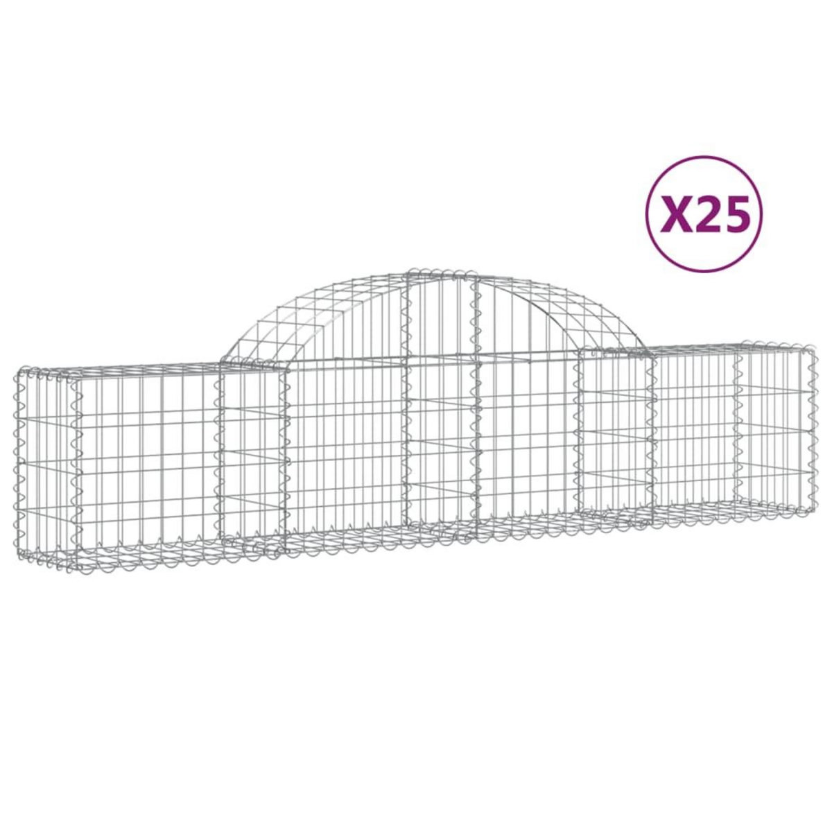 VIDAXL Paniers a gabions arques 25 pcs 200x30x40/60 cm Fer galvanise