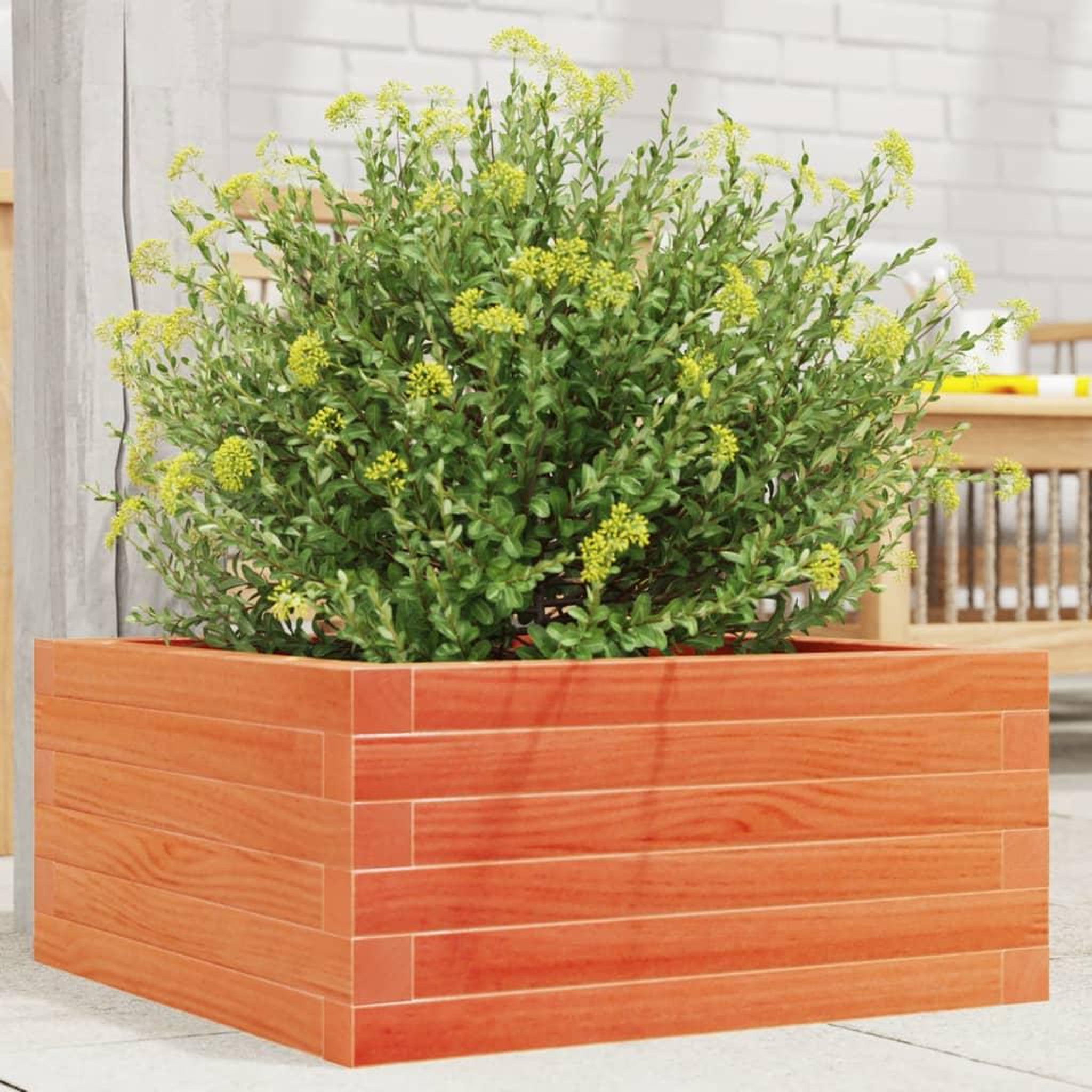 VIDAXL Jardiniere cire marron 50x50x23 cm bois de pin massif
