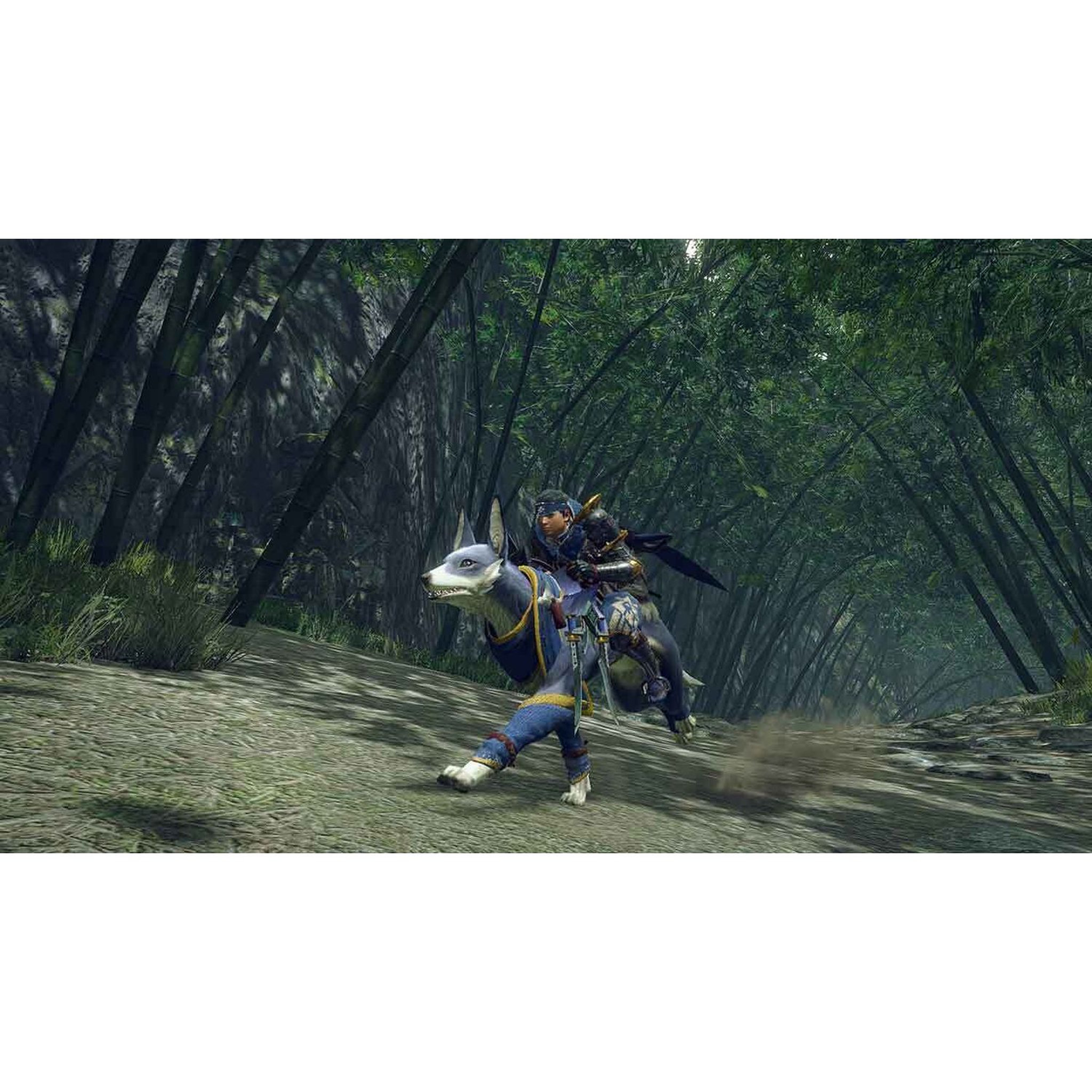 Voir la diapositive 3 : Monster Hunter Rise: Sunbreak Nintendo Switch