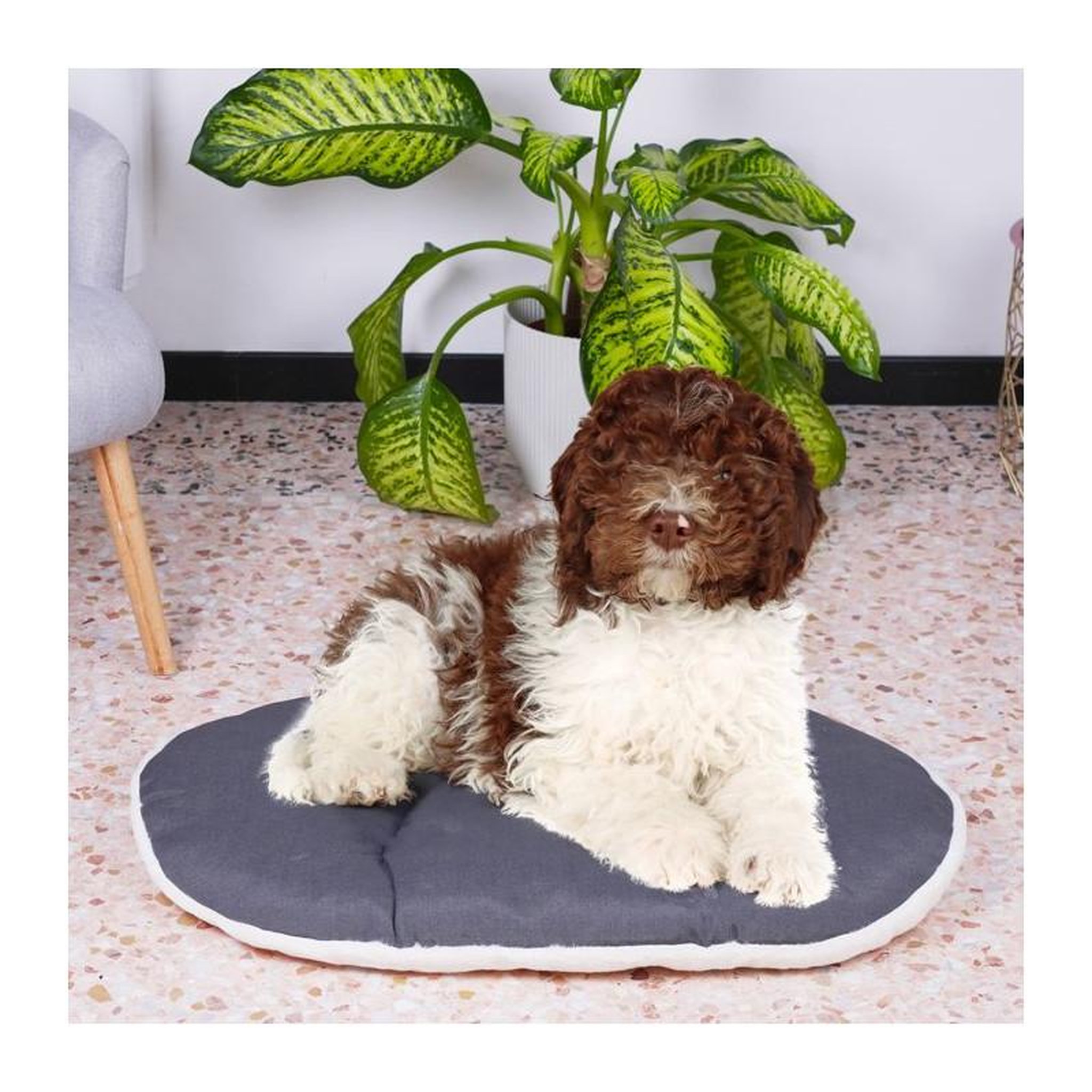 Voir la diapositive 2 : Ferplast Coussin - FERPLAST - RELAX 78/8 - 78 x 50 cm - Tissu et fourrure