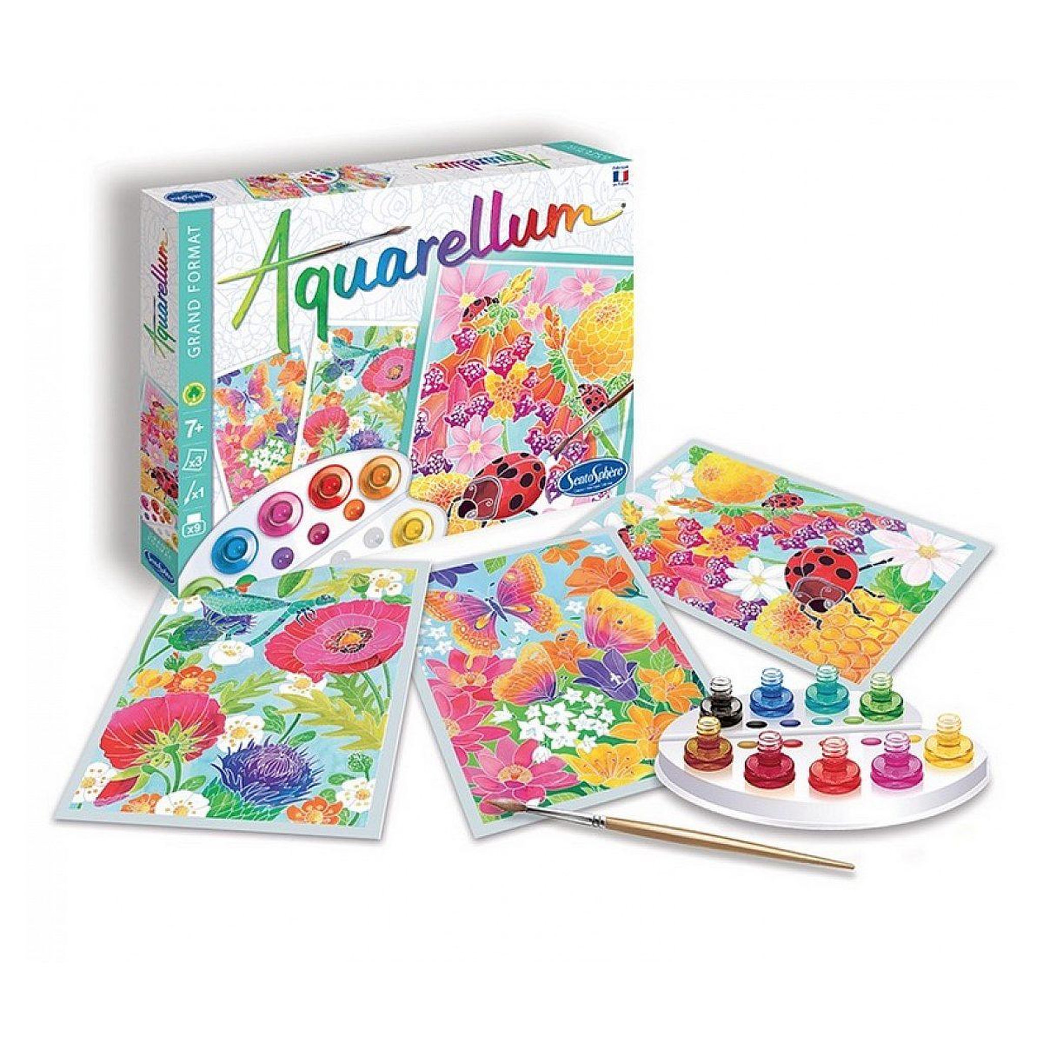 Voir la diapositive 2 : Sentosphere Aquarellum gm dans les fleurs