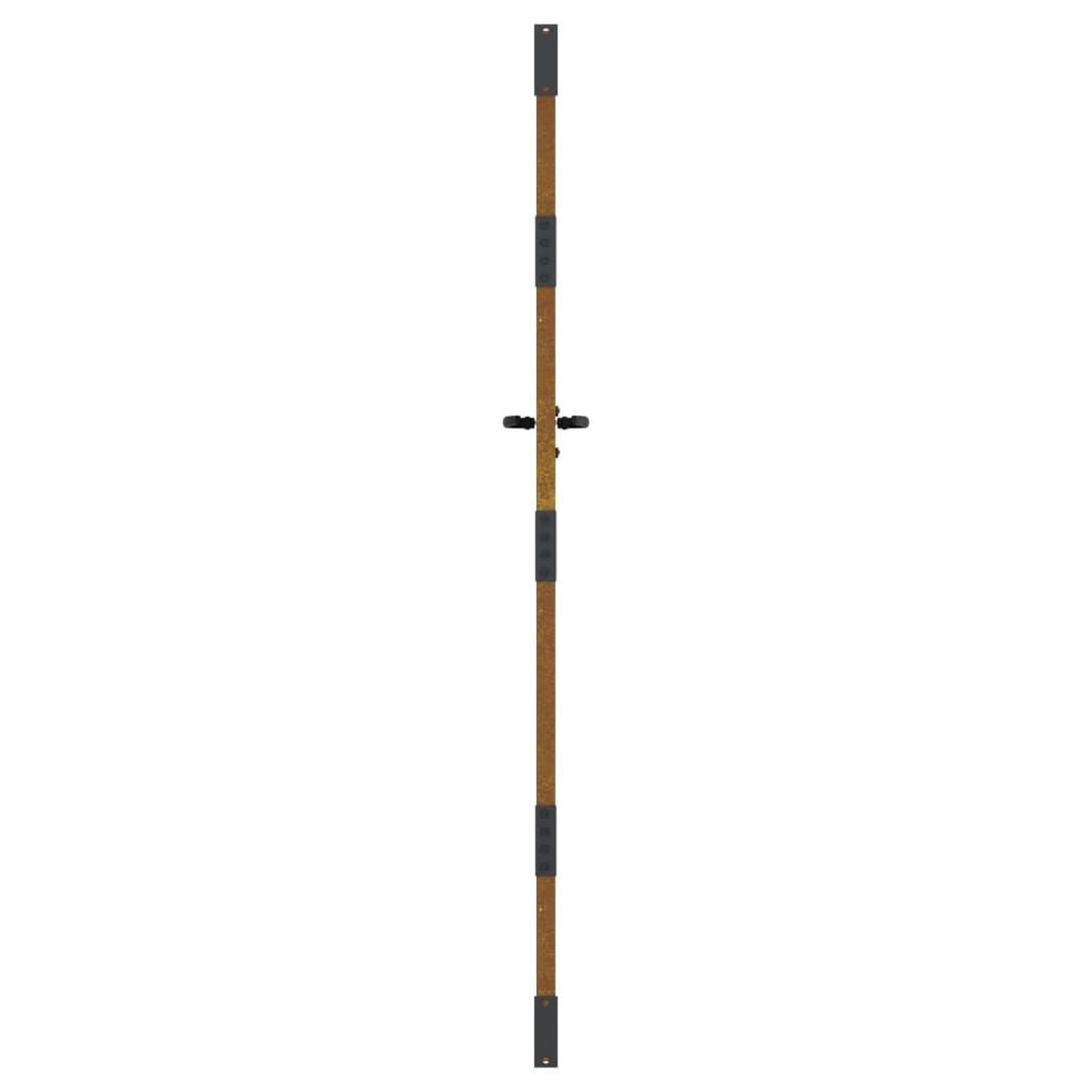 Voir la diapositive 5 : VIDAXL Portail de jardin 85x200 cm acier corten