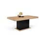 Voir la diapositive 4 : Table de séjour salle à manger extensible L160/200 cm TINA
