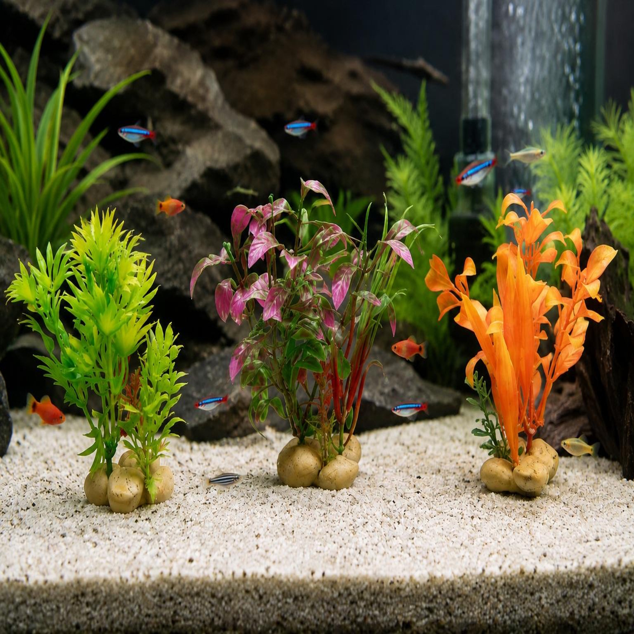 Voir la diapositive 2 : Eden Lot de 3 plantes décoratives pour aquarium