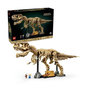 Voir la diapositive 1 : LEGO LEGO Jurassic World 76968 Les Fossiles de Dinosaures : le Tyrannosaurus Rex - Pour Adulte