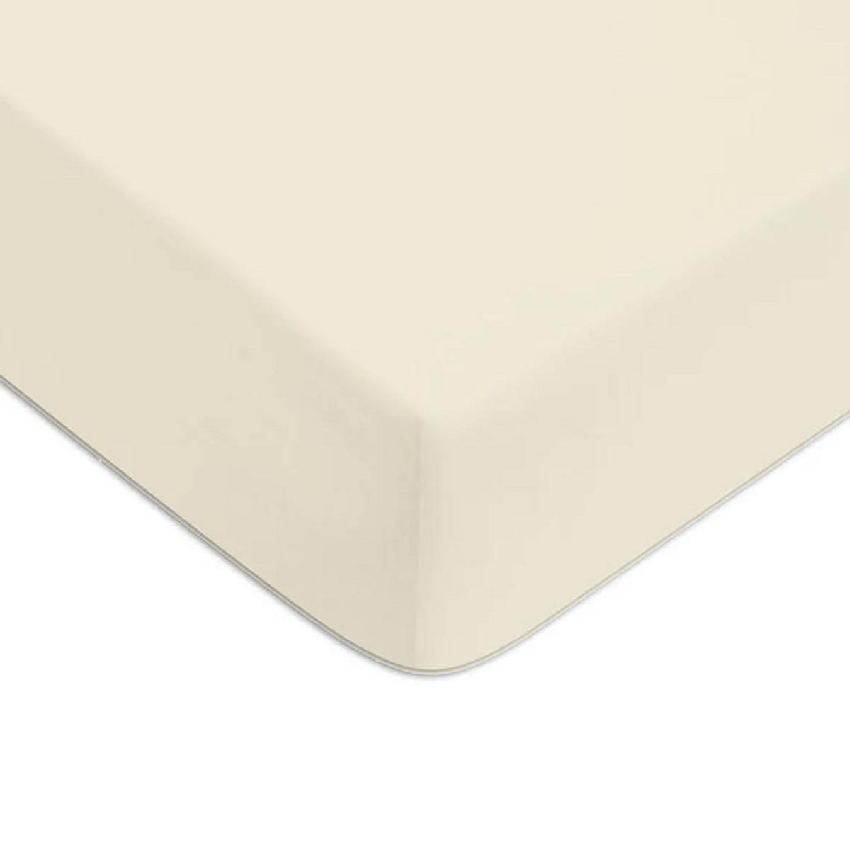 FUTURE HOME Drap housse en coton 57 fils uni bonnet 25cm