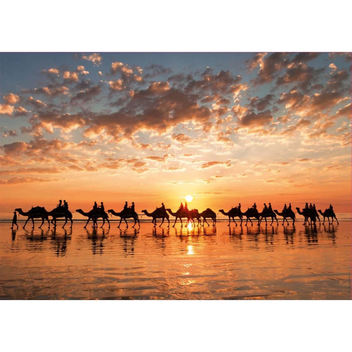 EDUCA Puzzle 1000 pcs Golden sunset on Cable Beach Australie