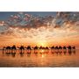 Voir la diapositive 2 : EDUCA Puzzle 1000 pcs Golden sunset on Cable Beach Australie