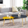 Voir la diapositive 2 : ID MARKET Lot de 2 tables basses gigognes GAIA laquées gris jaune scandinave