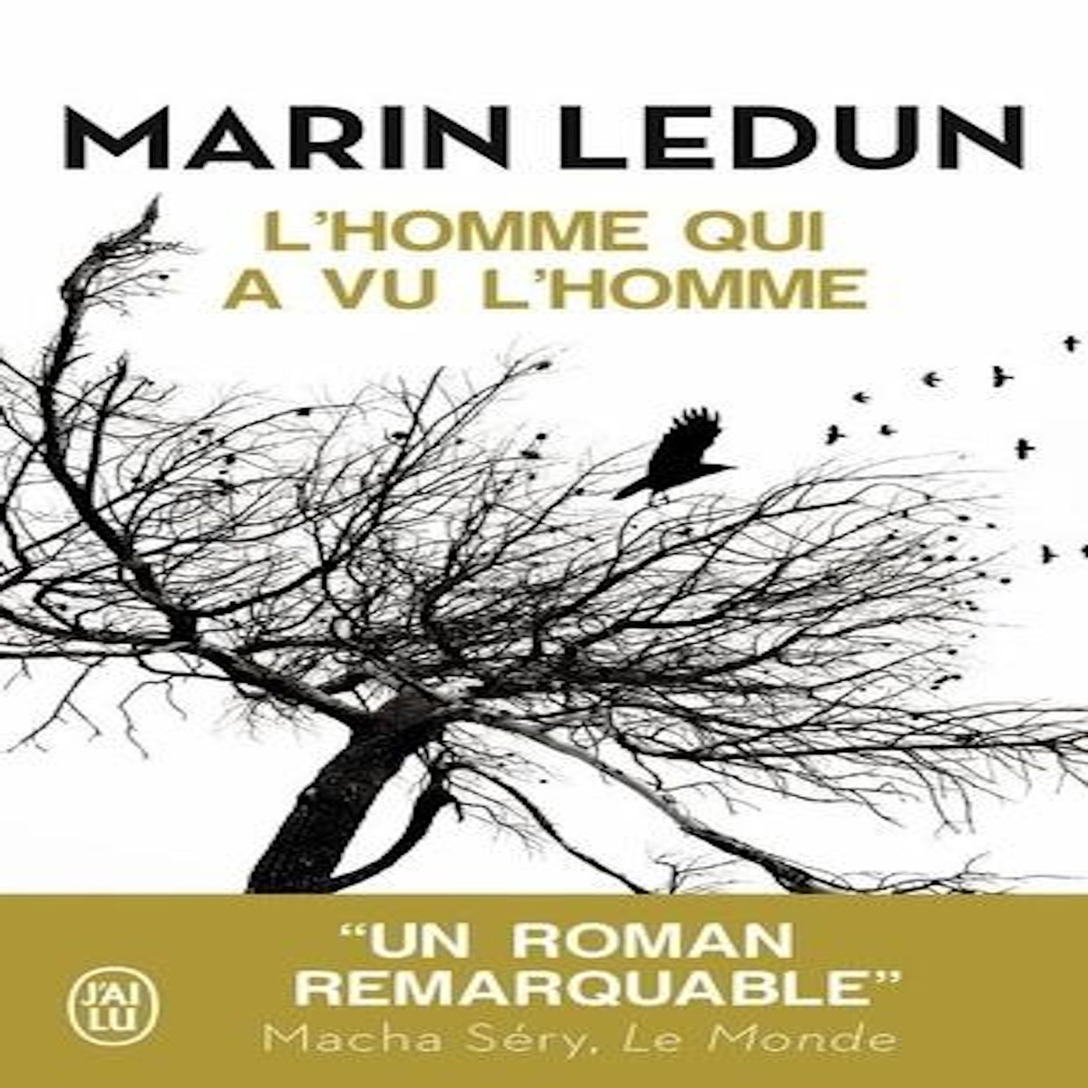 L'HOMME QUI A VU L'HOMME, Ledun Marin