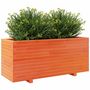 Voir la diapositive 4 : VIDAXL Jardiniere cire marron 110x40x49,5 cm bois de pin massif