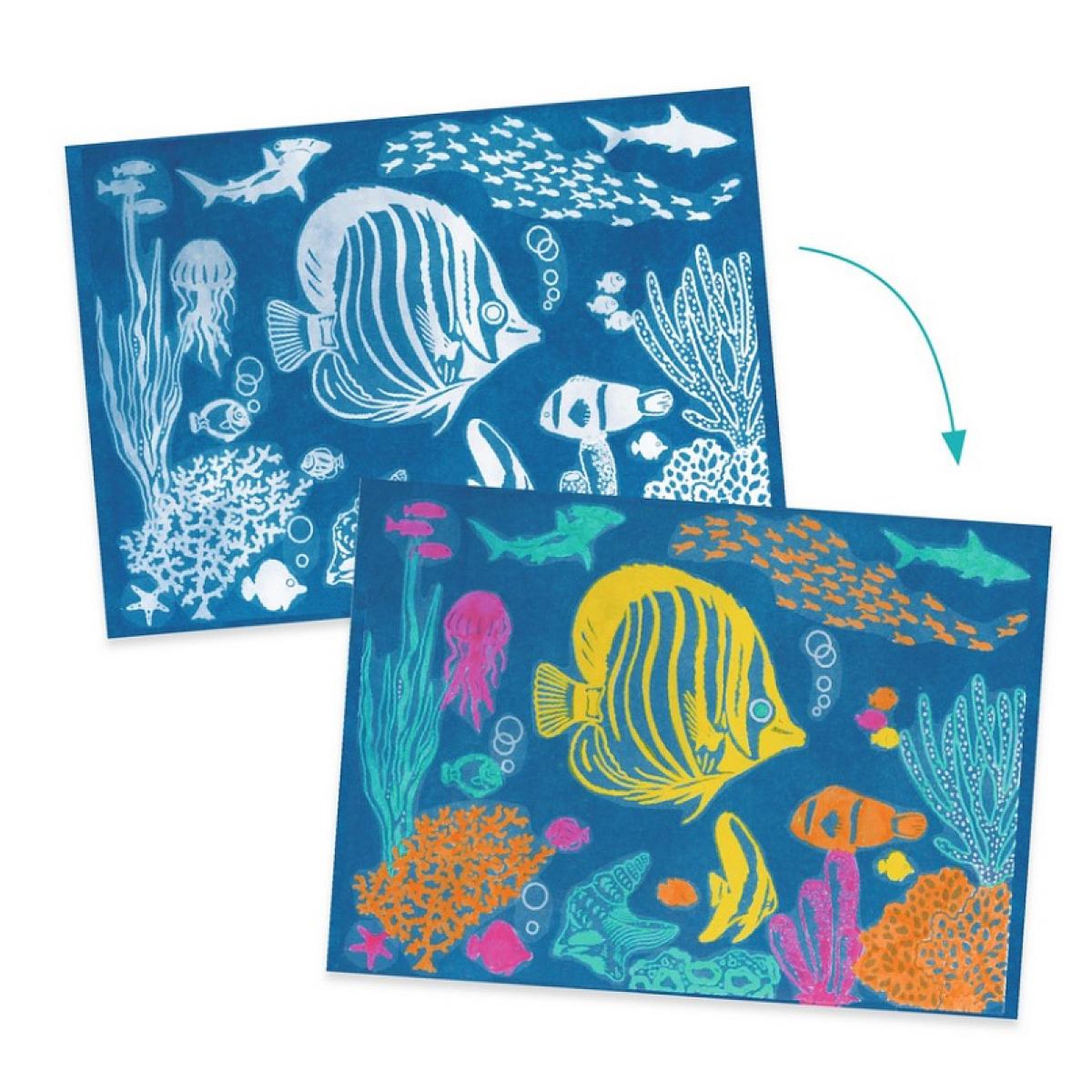 Voir la diapositive 3 : Djeco Coffret cyanotype : Outremer