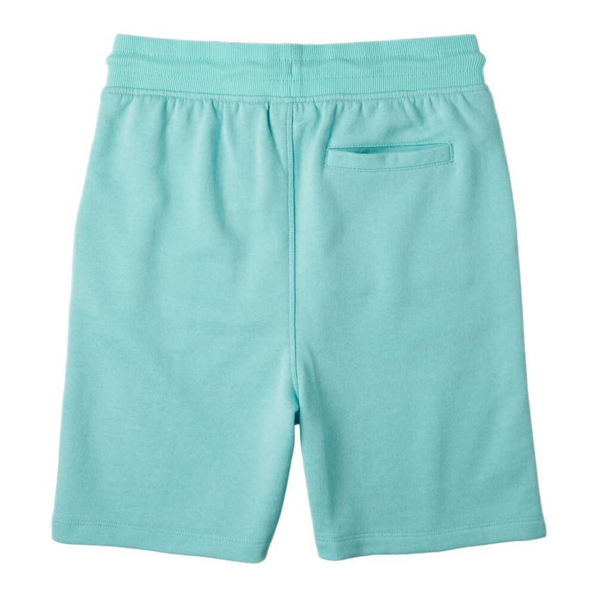 O'NEILL Short Turquoise Garçon O'Neill Circle Surfer