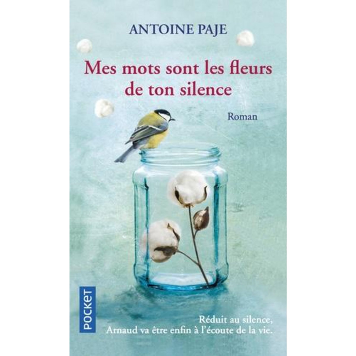 MES MOTS SONT LES FLEURS DE TON SILENCE, Paje Antoine