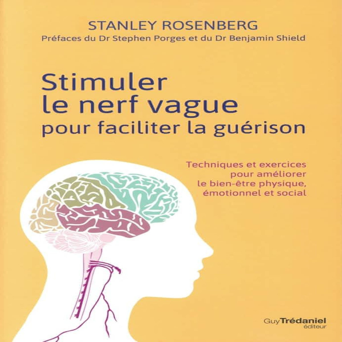 STIMULER LE NERF VAGUE POUR FACILITER LA GUERISON. TECHNIQUES ET EXERCICES POUR AMELIORER LE BIEN-ETRE PHYSIQUE, EMOTIONNEL ET SOCIAL, Rosenberg Stanley