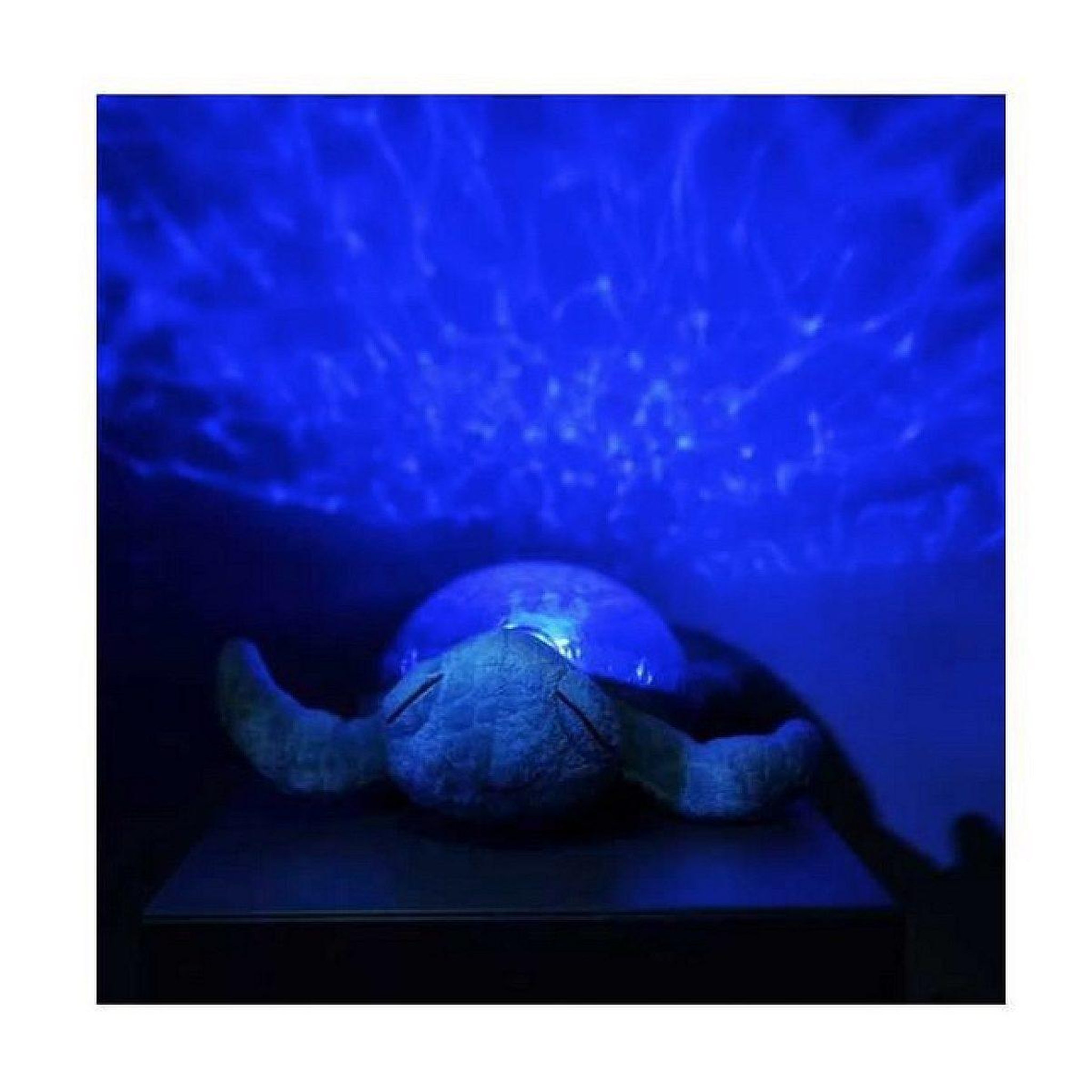 Voir la diapositive 3 : LITTLE BIG FRIENDS Veilleuse musicale tranquil turtle - aqua - rechargeable
