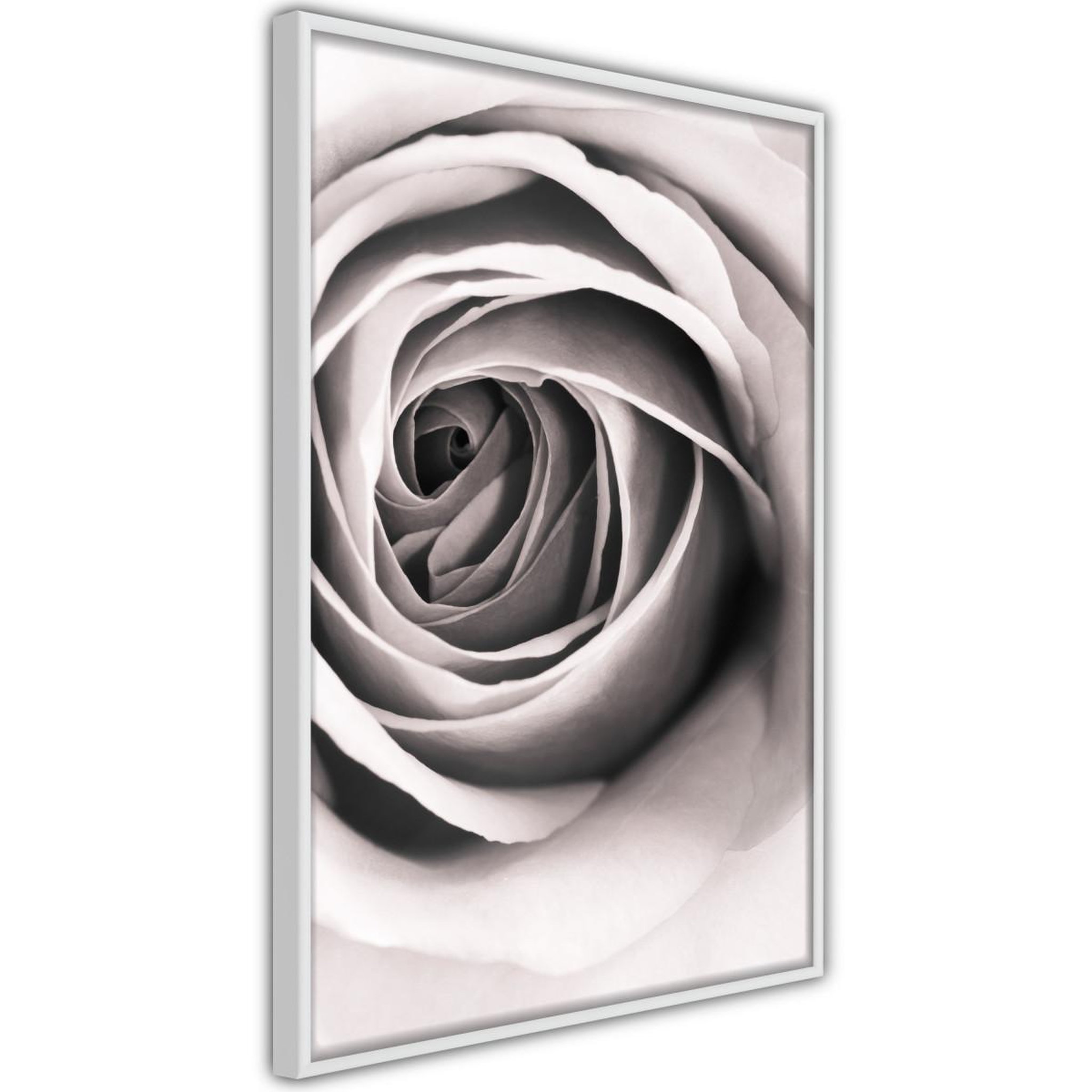 Paris Prix Affiche Murale Encadrée  Structure of Petals