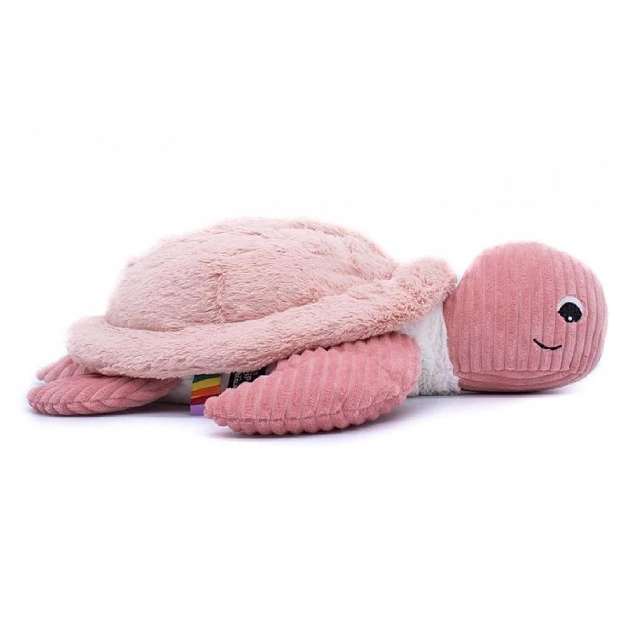 Voir la diapositive 3 : Globe Trotoys ptipotos  tortue geante rose