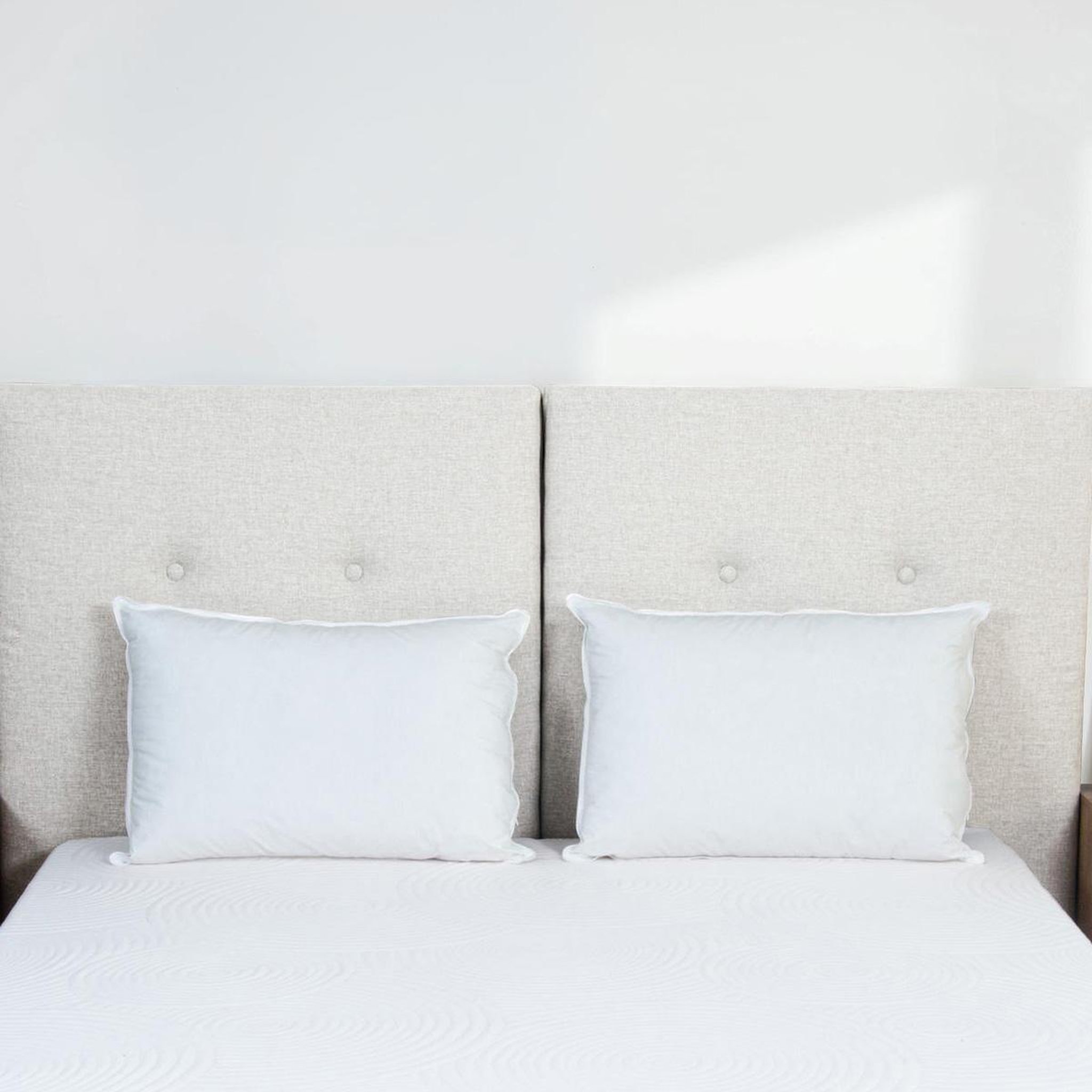 Voir la diapositive 5 : BELLECOUR Bellecour literie | oreiller luxotel | fibres creuses