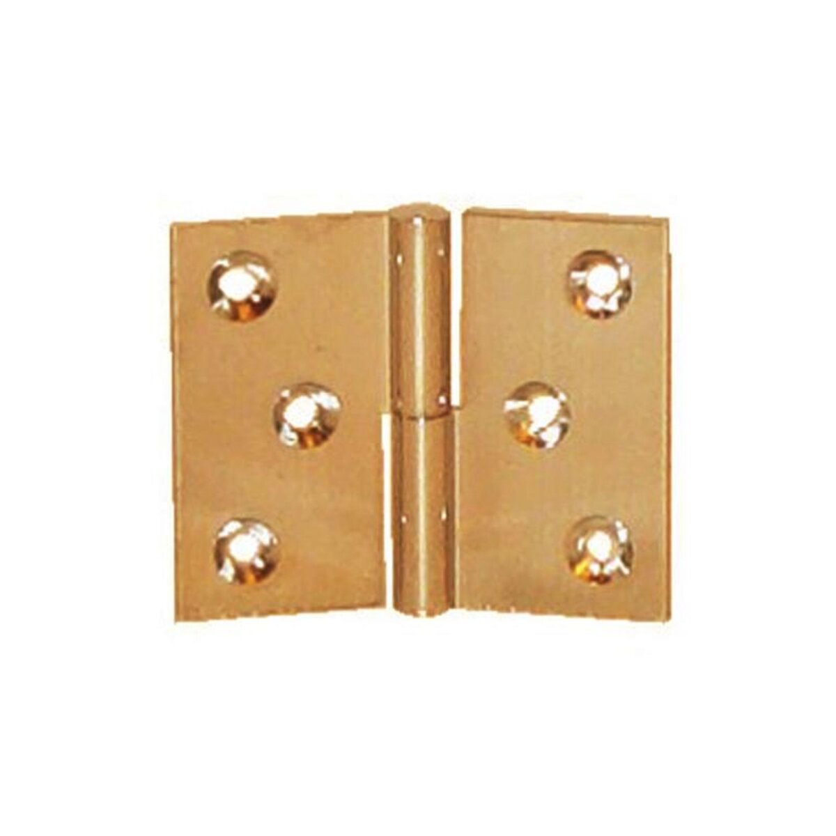 NOTRE SELECTION Paumelle laiton poli en 30x40mm droite nœud de 6mm axe acier PO3140S10