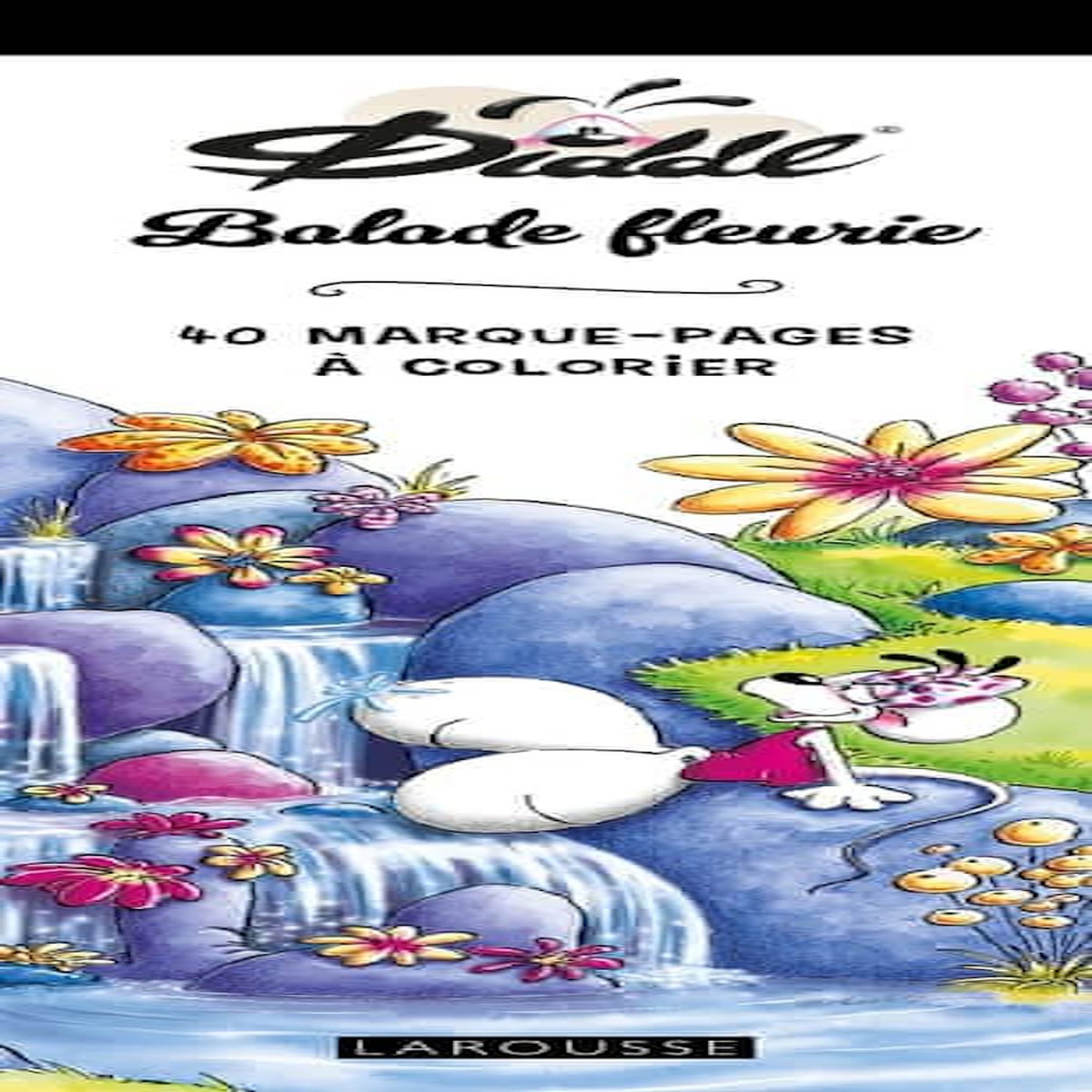 DIDDL BALADE FLEURIE. 40 MARQUE-PAGES A COLORIER, Goletz Thomas