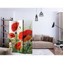 Voir la diapositive 2 : Paris Prix Paravent 3 Volets  Country Poppies  135x172cm
