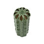 Voir la diapositive 2 : Paris Prix Vase en Céramique  Cactus  23cm Vert