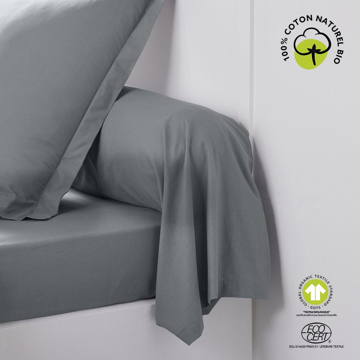 Today Taie de traversin - 100% coton BIO