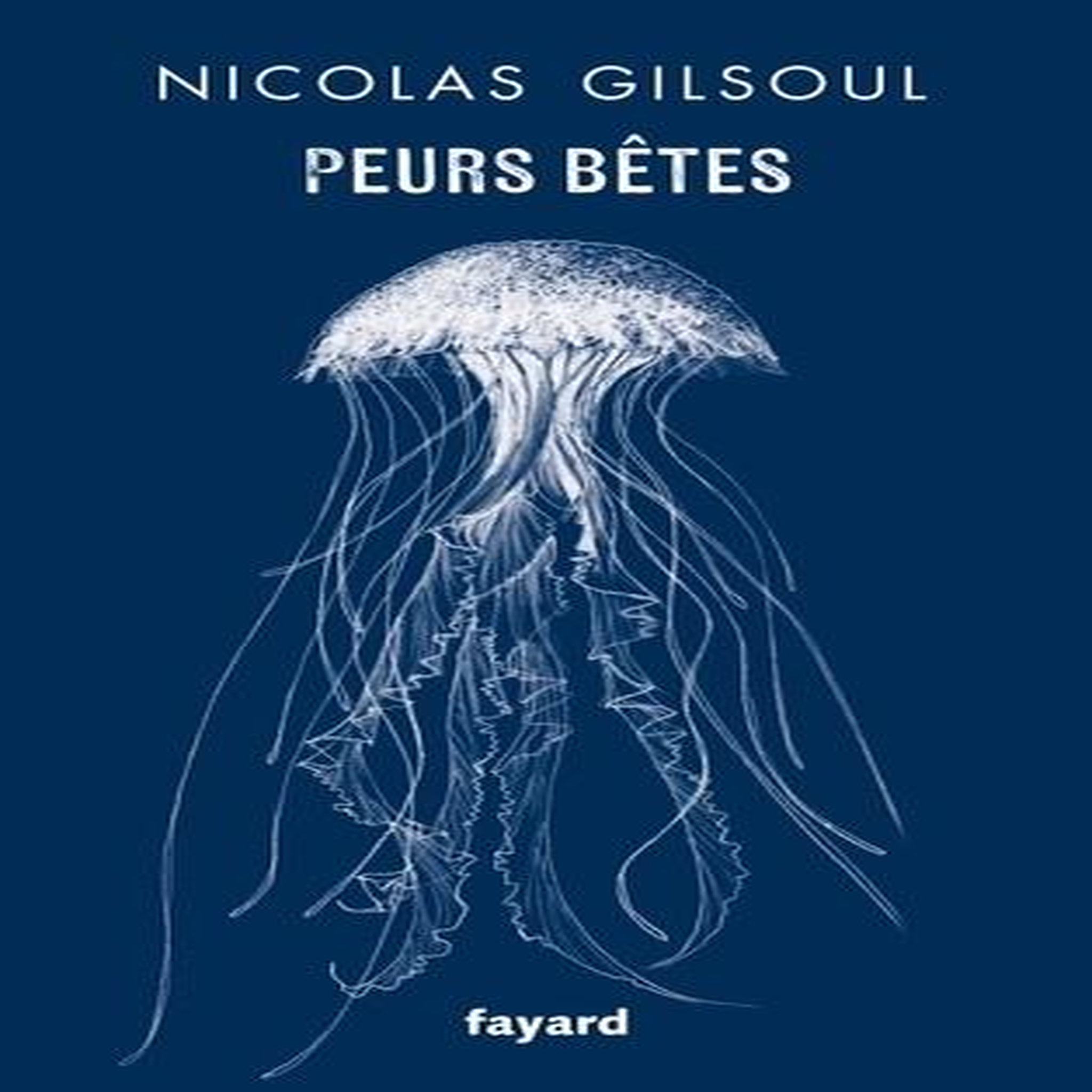 PEURS BETES, Gilsoul Nicolas