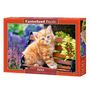 Voir la diapositive 2 : Castorland Puzzle 500 pièces : Chaton roux dans les fleurs