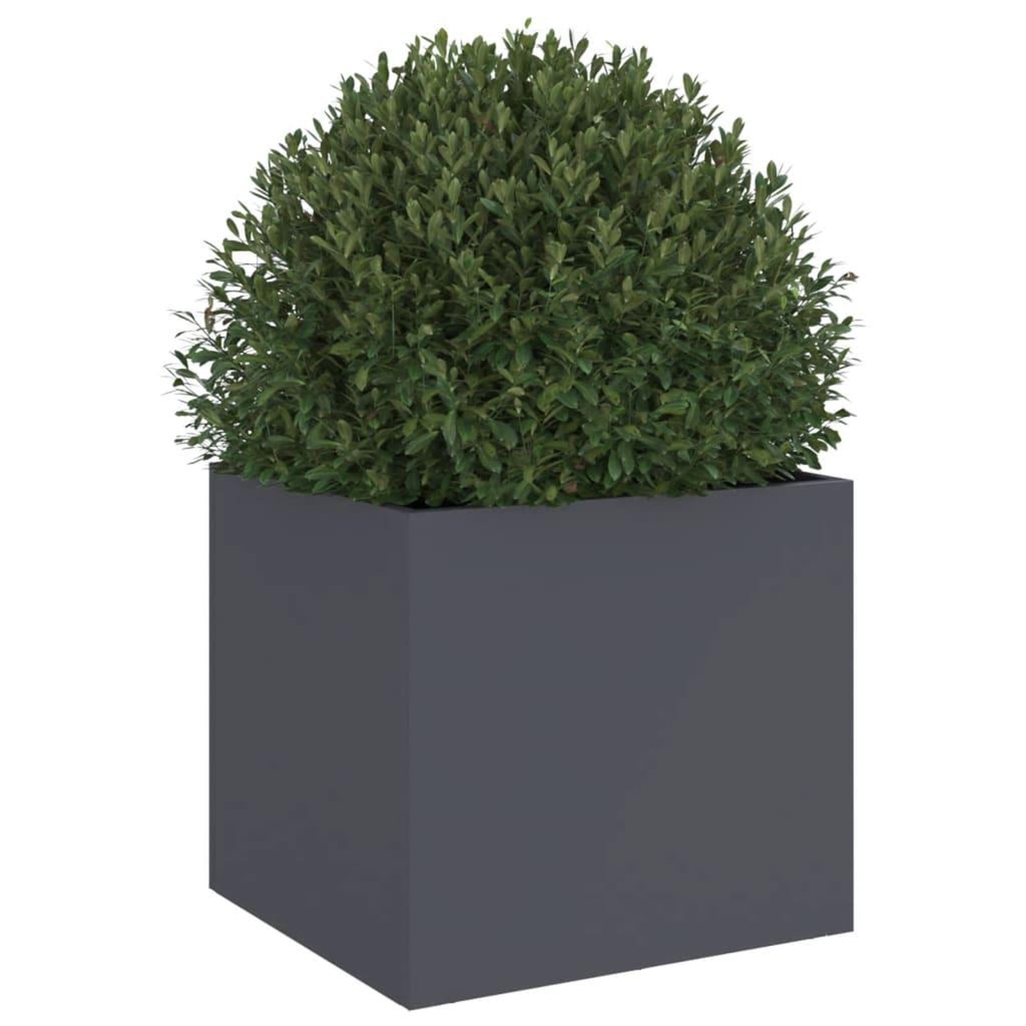 Voir la diapositive 4 : VIDAXL Jardiniere anthracite 32x30x29 cm acier