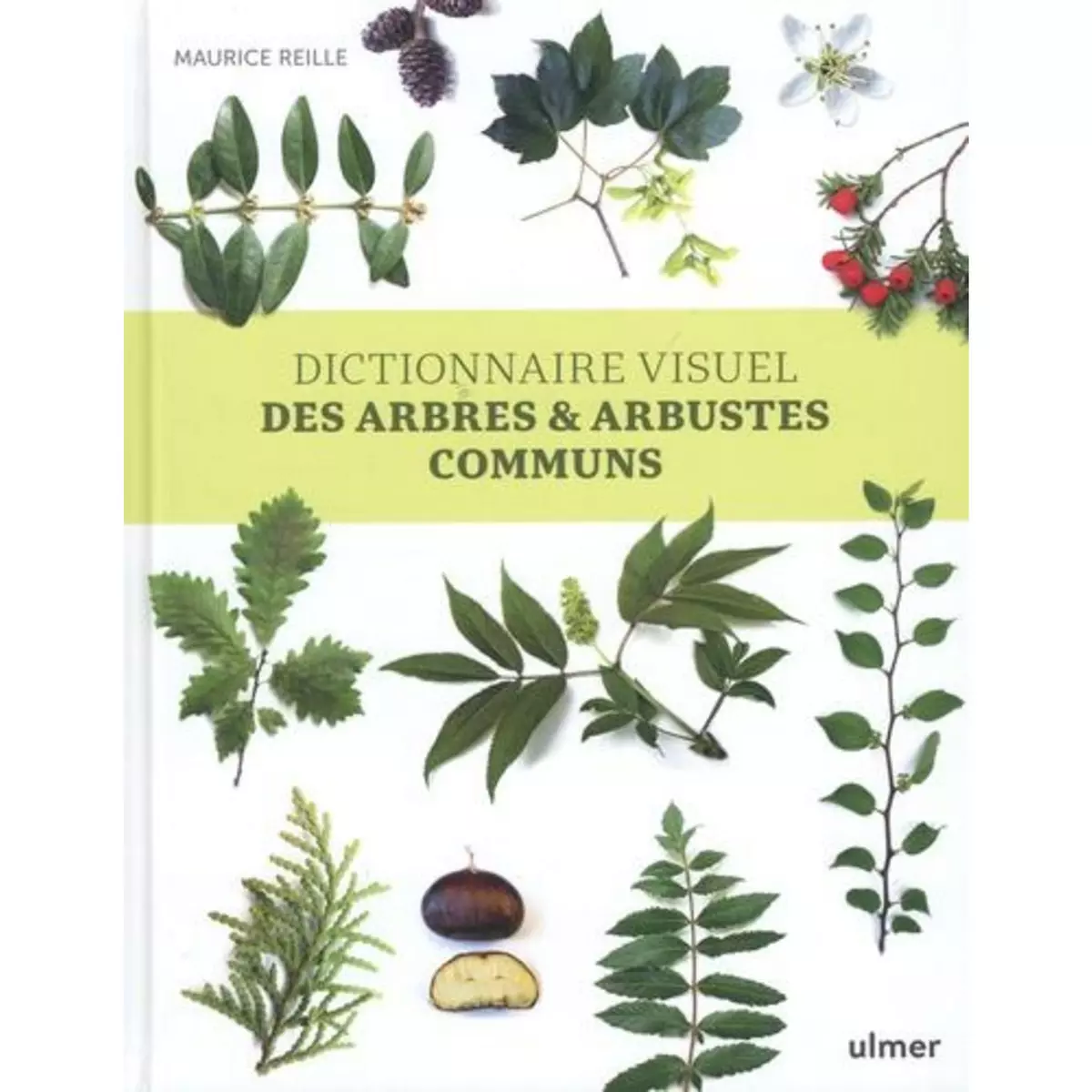  DICTIONNAIRE VISUEL DES ARBRES & ARBUSTES COMMUNS, Reille Maurice