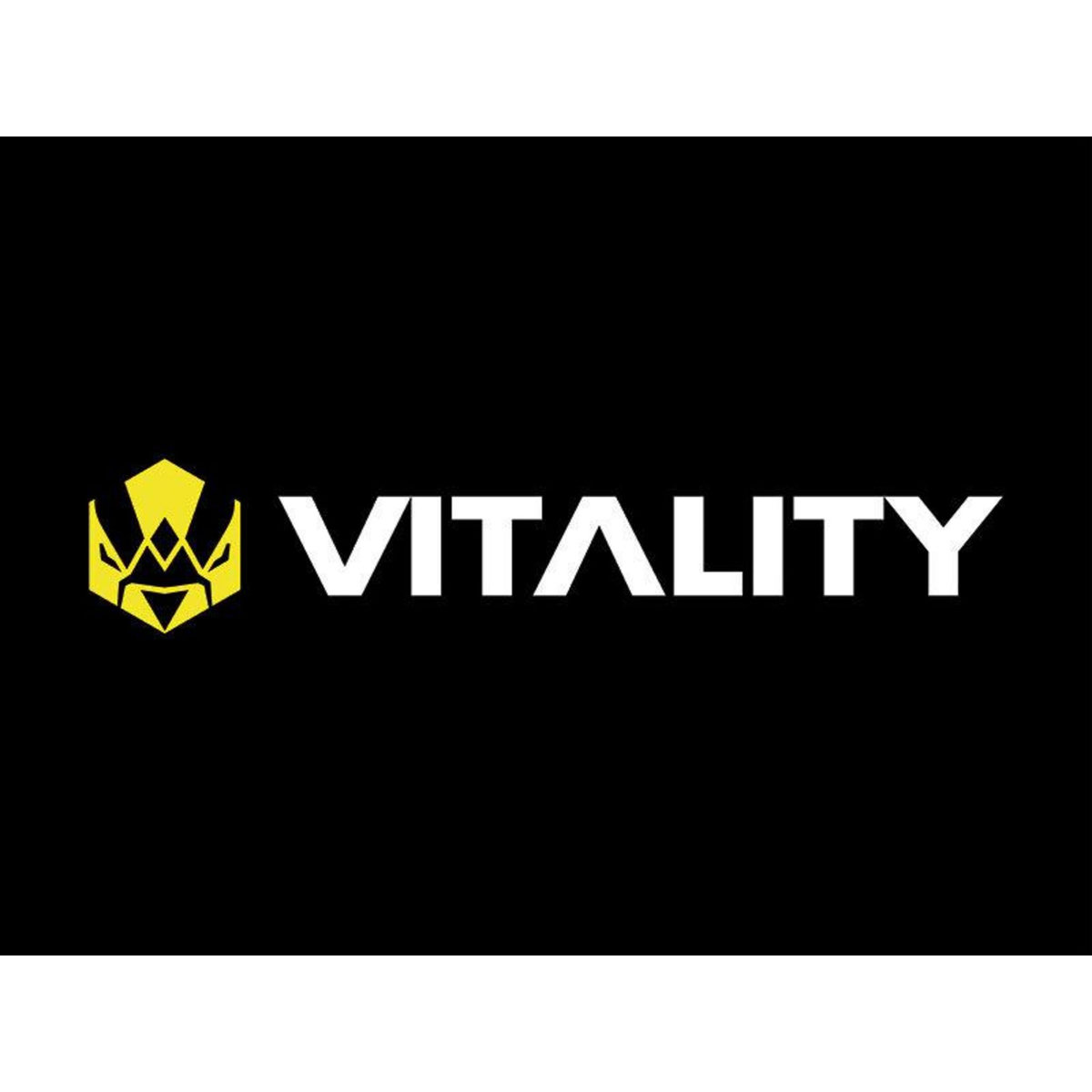 Smartbox Bon cadeau de 29,90 € sur l'e-shop de la Team Vitality et de 50 € sur League of Legends - Coffret Cadeau Multi-thèmes