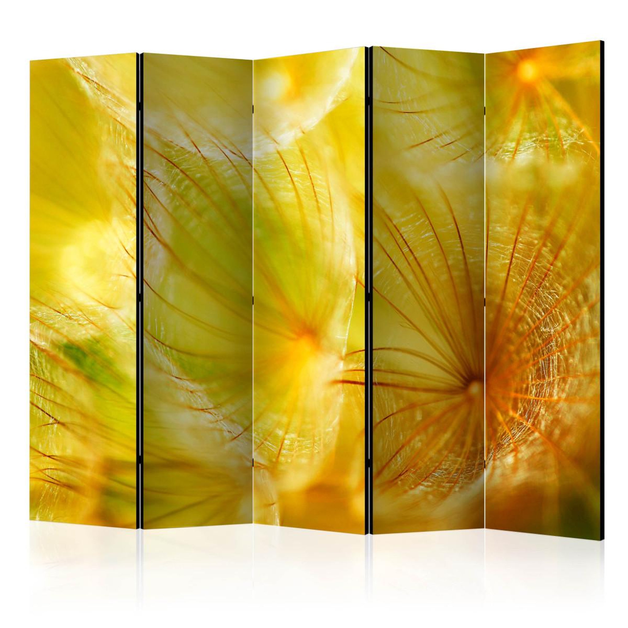 Paris Prix Paravent 5 volets  soft dandelion flower  172x225cm