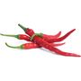 Voir la diapositive 2 : VERITABLE Recharge jardin d'intérieur Mini Piments