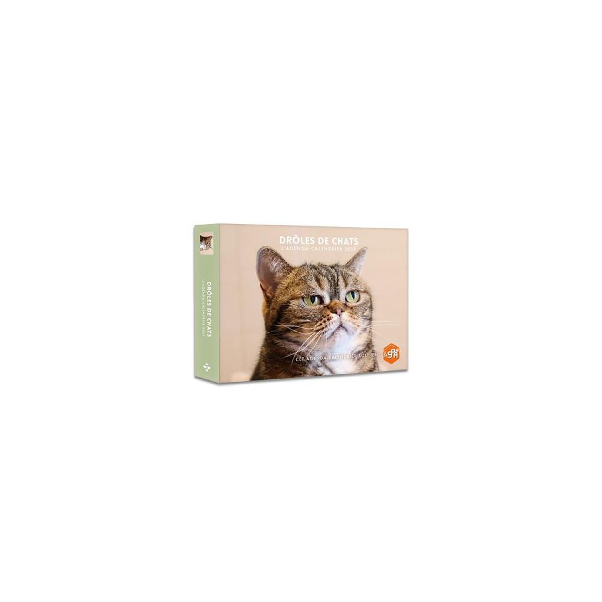 Agenda semainier 2027 chats  drôles de chats