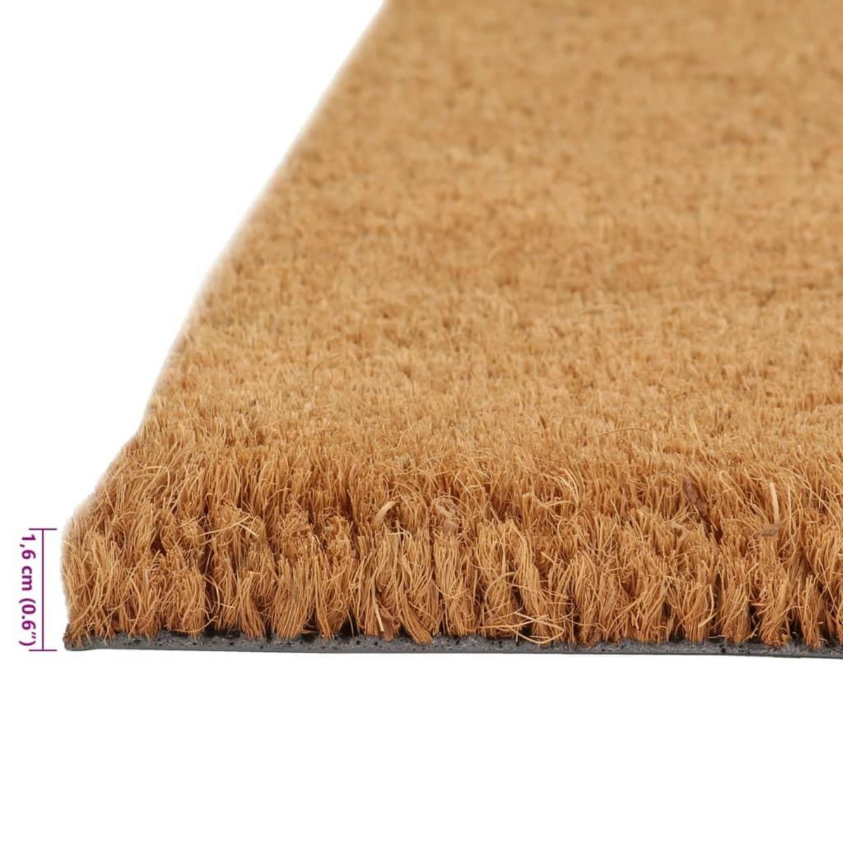 VIDAXL Tapis de porte naturel 50x80 cm fibre de coco touffete