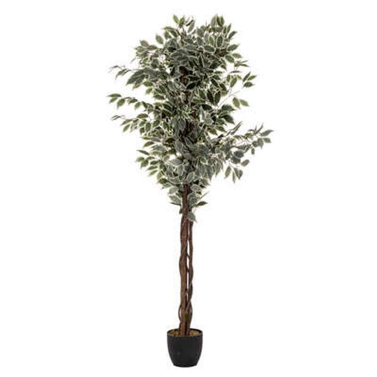  Plante Artificielle  Ficus  180cm Vert