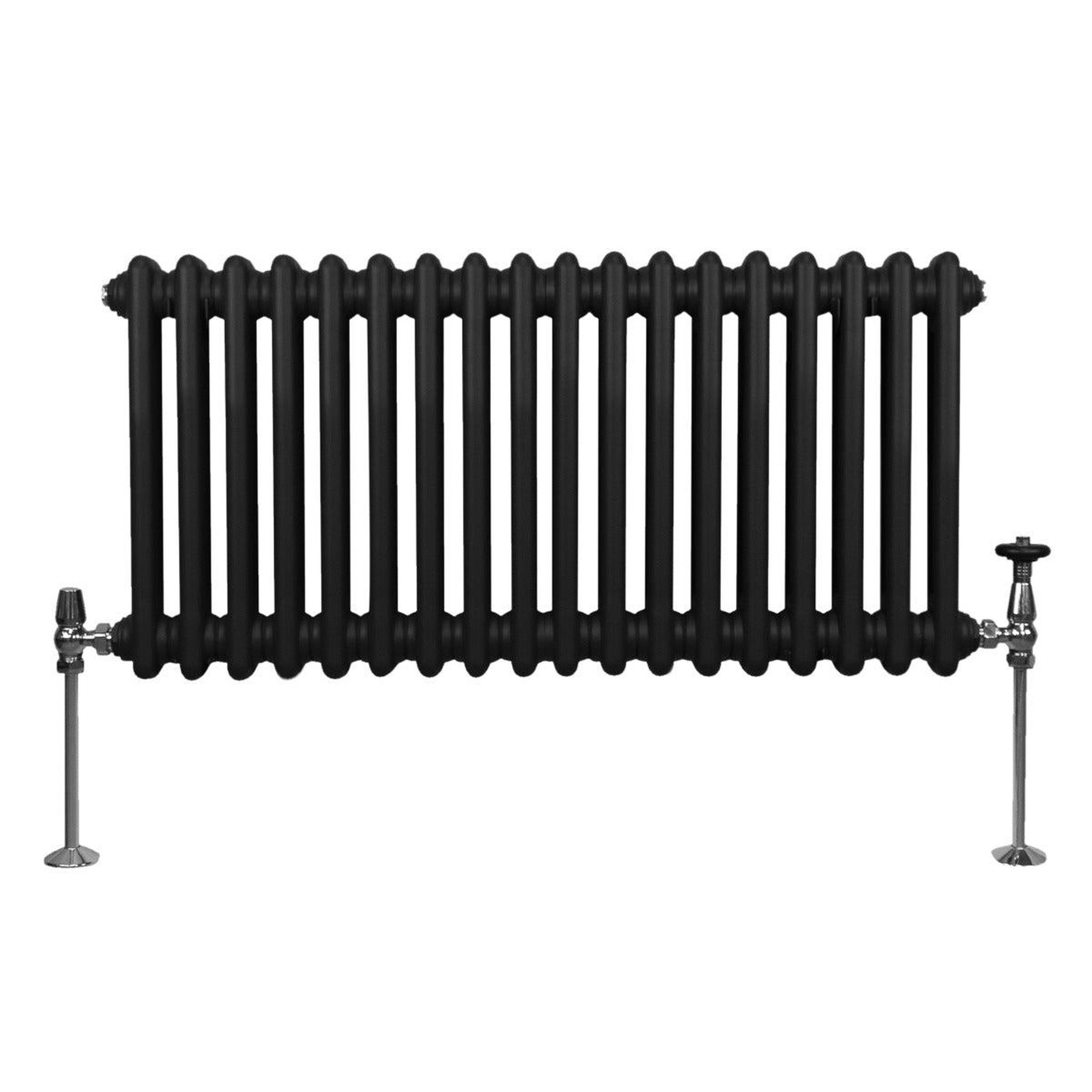 Voir la diapositive 2 : MONSTERSHOP Radiateur traditionnel à 2 colonnes – 300 x 832 mm