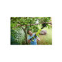 Voir la diapositive 2 : Ryobi Coupe-branches 18V RYOBI One+ - sans batterie ni chargeur OLP1832BX