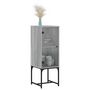 Voir la diapositive 4 : VIDAXL Armoire laterale avec porte en verre sonoma gris 35x37x100 cm