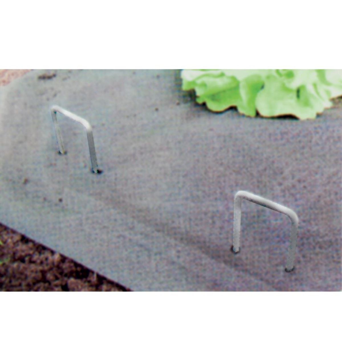  Lot de 10 Agrafes métalliques galvanisées WERKA PRO  15x4cm