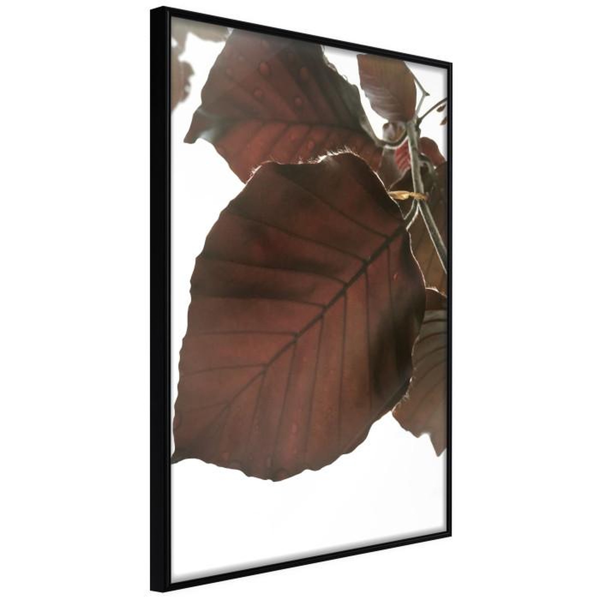 Paris Prix Affiche Murale Encadrée  Burgundy Tilia Leaf. Coloris disponibles : Jaune, Noir