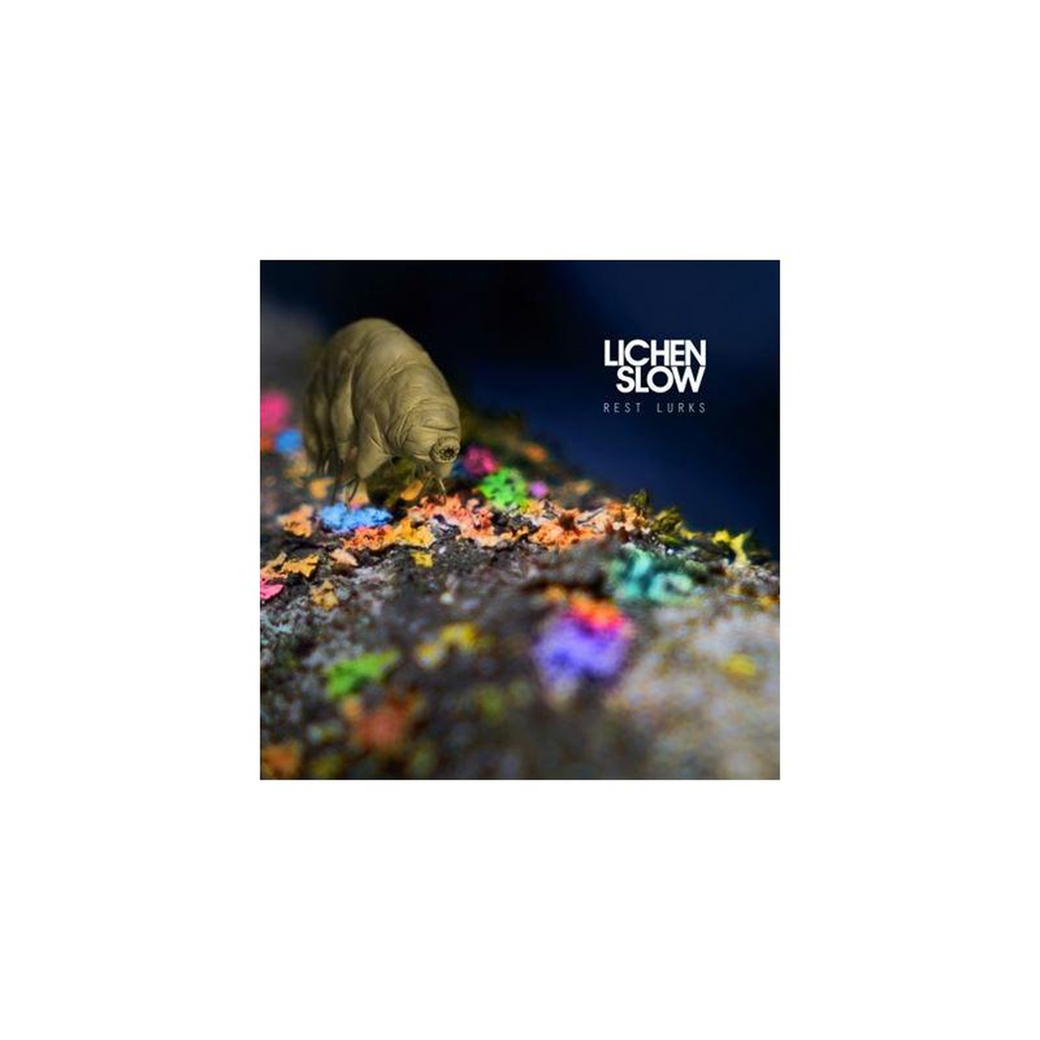Vinyle 33t 30 cm lichen slow – rest lurks, coloris orange, 1 lp