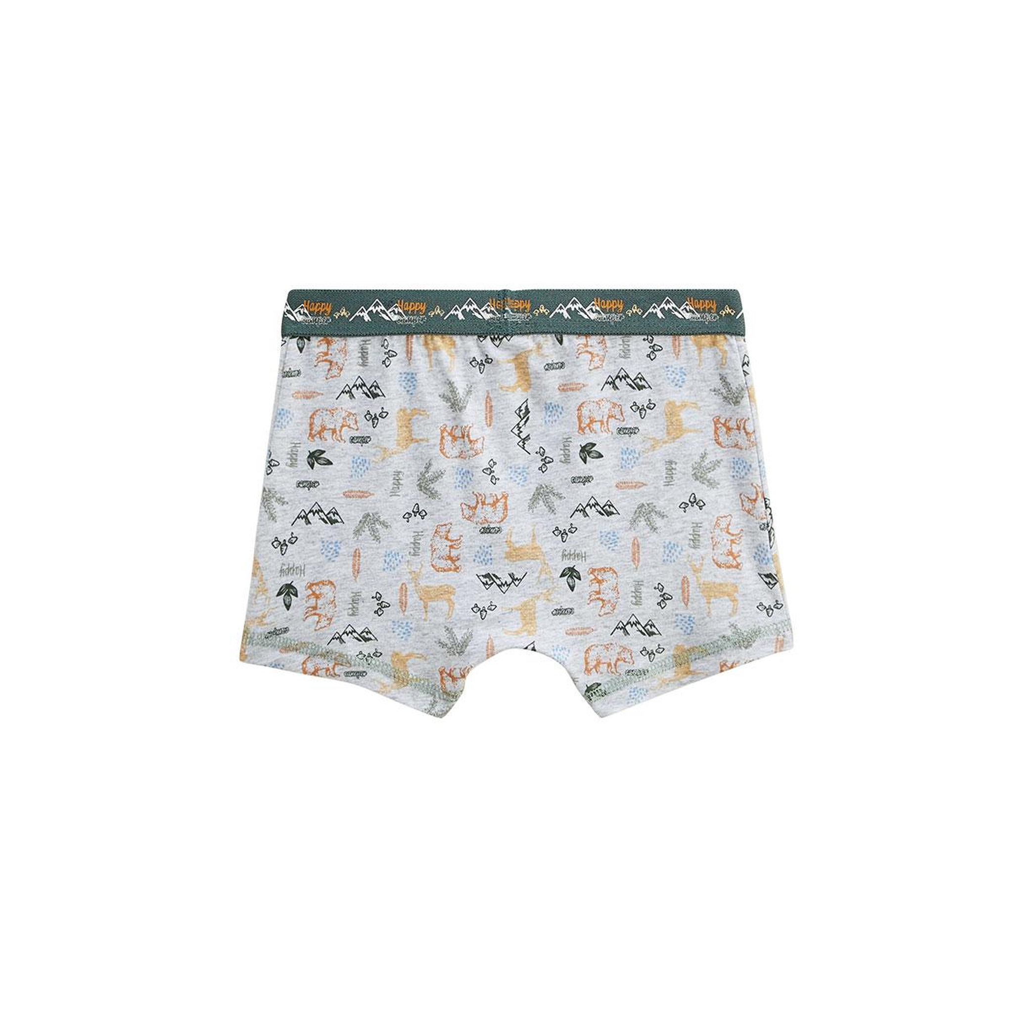 Voir la diapositive 5 : Petit Béguin Lot de 2 boxers garçon Forest