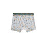 Voir la diapositive 5 : Petit Béguin Lot de 2 boxers garçon Forest