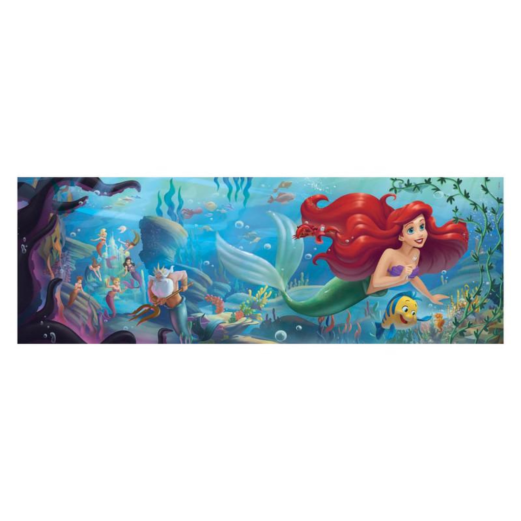 Voir la diapositive 2 : CLEMENTONI Clementoni Panorama Puzzle Disney Princess, 1000pcs. 39658