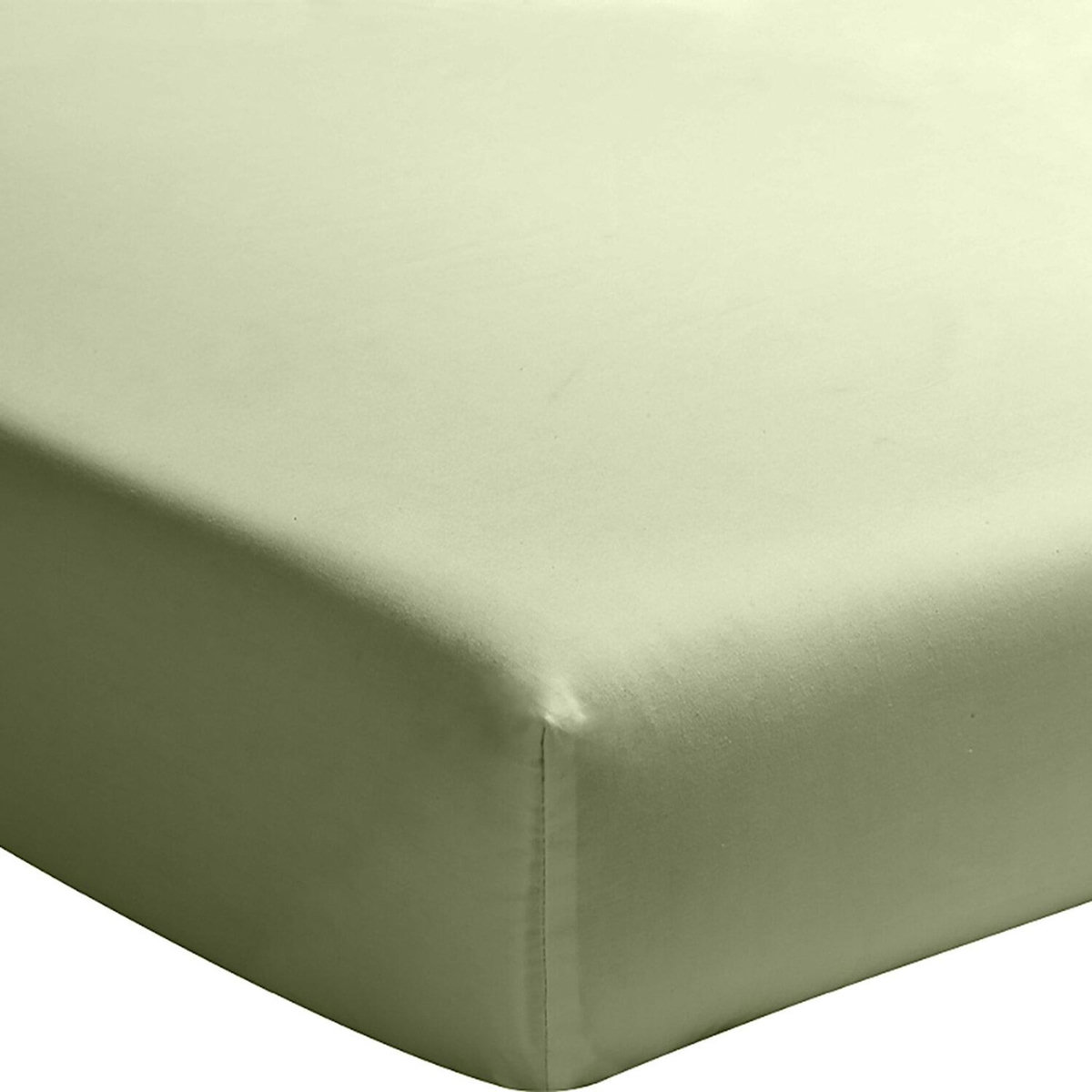 BATON ROUGE Drap housse en percale de coton