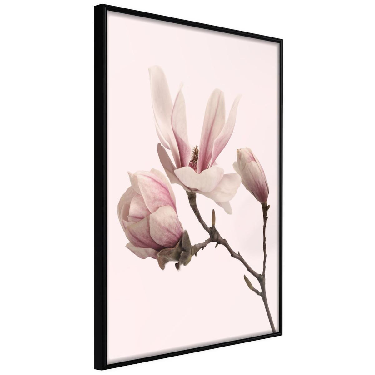 Paris Prix Affiche Murale Encadrée  Blooming Magnolias II